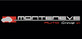 Logo Monteneve Auto Group